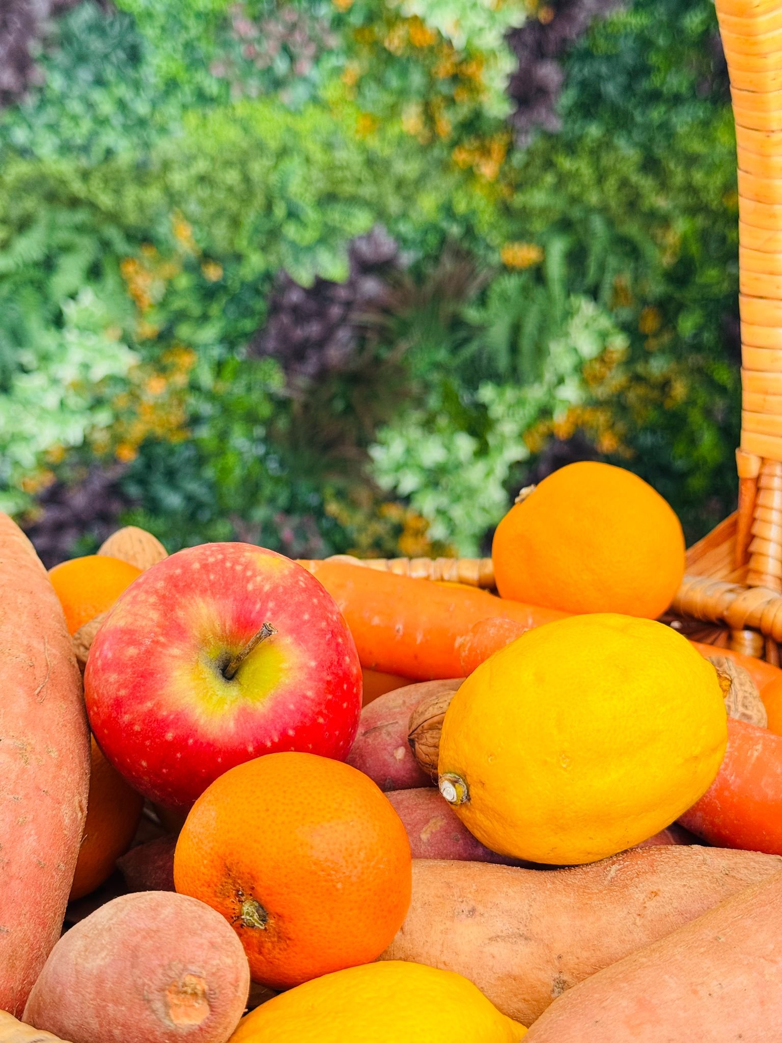 Fruits et racines